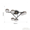 Потолочная светильник Arte Milano Ferrara 278599/6 BK