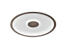 Потолочный светильник Freya Freya Orbit FR5421CL-L80BR