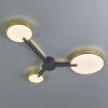Потолочная светодиодная люстра Escada Expert 10209/3LED