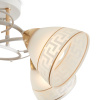 Потолочная люстра Freya Entle FR5465CL-05W