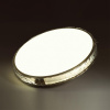 Потолочный светильник Sonex Felice 7722/100L