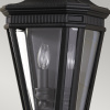 Уличный настенный светильник Feiss FE-COTSLN7-BK