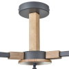 Люстра на штанге Lumion Colange 8096/3C