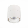 Накладной светильник ST Luce ST652 ST652.532.12